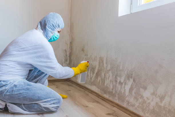 Bathroom Mold Removal assessment in Olney bathroom